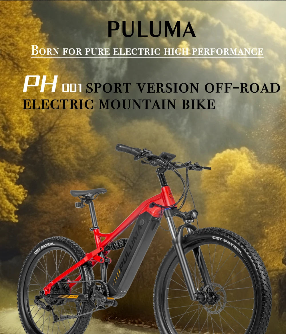 PULUMA Electric Bike 48V 1000W 27.5-in Panasonic battery 48V 20AH Smart electric with pedal assist hydraulic disc brakes