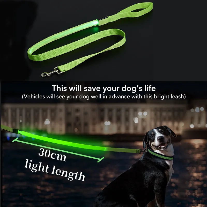 Correa LED brillante para perros, recargable por USB, con correas de nailon intermitentes. 3 modos de iluminación para mantener a tus mascotas seguras en la oscuridad.