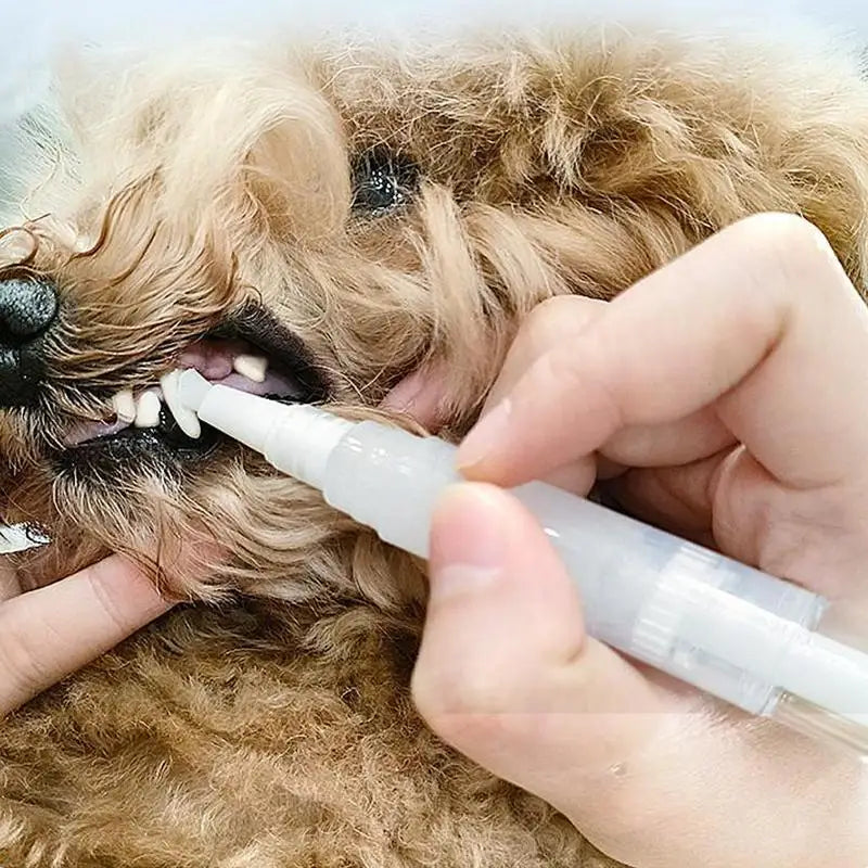 Limpiador dental natural para perros, 5 ml, reparador dental para mascotas, eliminador de sarro y cálculos, bolígrafo de limpieza bucal para perros, blanqueador dental.