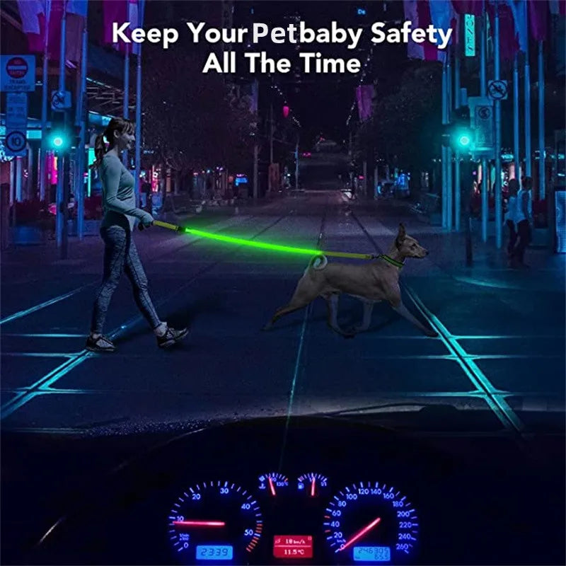 Correa LED brillante para perros, recargable por USB, con correas de nailon intermitentes. 3 modos de iluminación para mantener a tus mascotas seguras en la oscuridad.