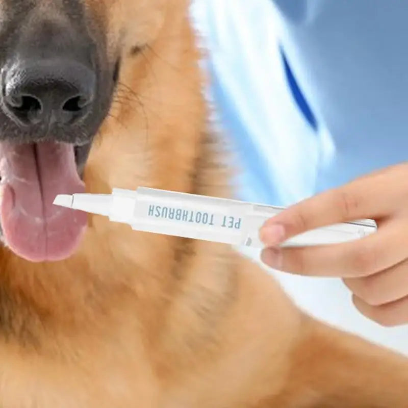 Limpiador dental natural para perros, 5 ml, reparador dental para mascotas, eliminador de sarro y cálculos, bolígrafo de limpieza bucal para perros, blanqueador dental.