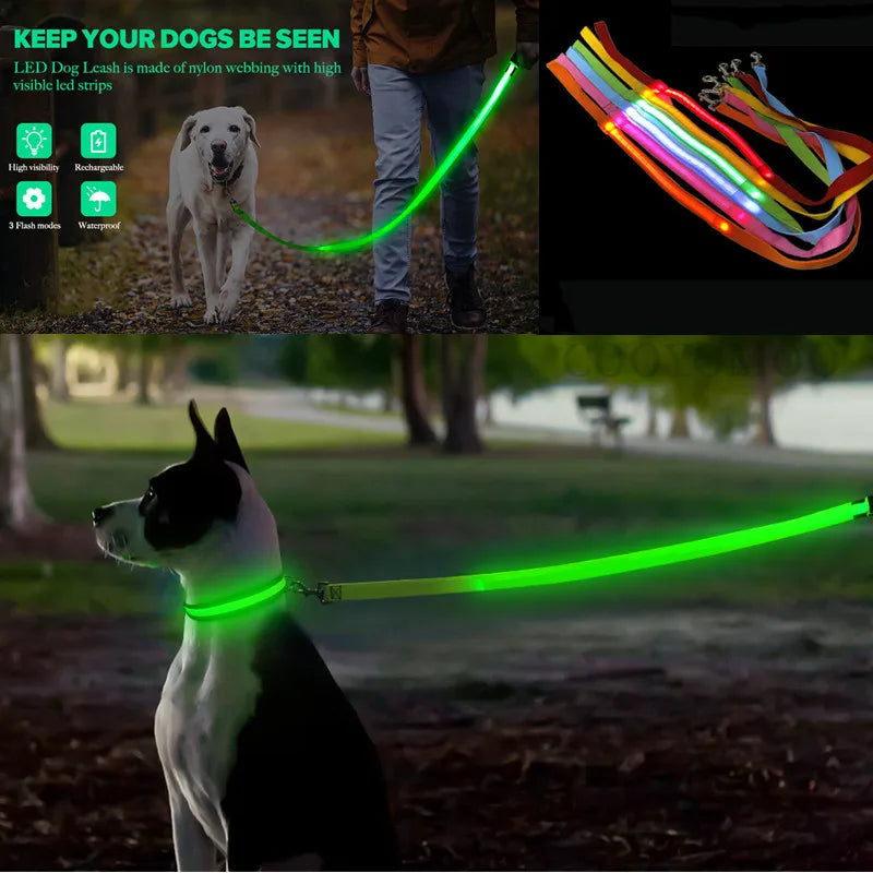 Correa LED brillante para perros, recargable por USB, con correas de nailon intermitentes. 3 modos de iluminación para mantener a tus mascotas seguras en la oscuridad.