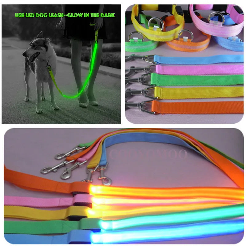 Correa LED brillante para perros, recargable por USB, con correas de nailon intermitentes. 3 modos de iluminación para mantener a tus mascotas seguras en la oscuridad.