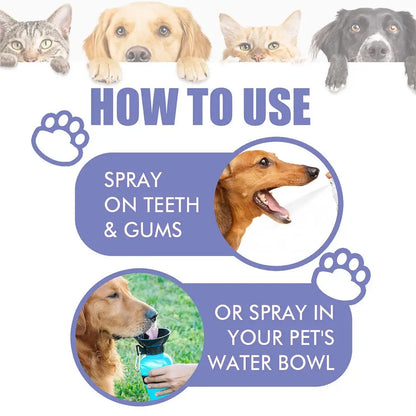 30ml Pet Oral Cleanse Spray Dogs Cats Teeth Clean Deodorant Prevent Calculus Remove Kitten Bad Breath Pet Supplies