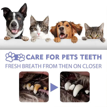 30ml Pet Oral Cleanse Spray Dogs Cats Teeth Clean Deodorant Prevent Calculus Remove Kitten Bad Breath Pet Supplies